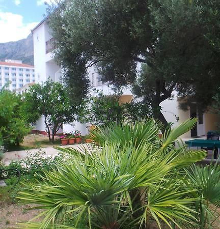 Pension Vice Gradac  Exterior photo