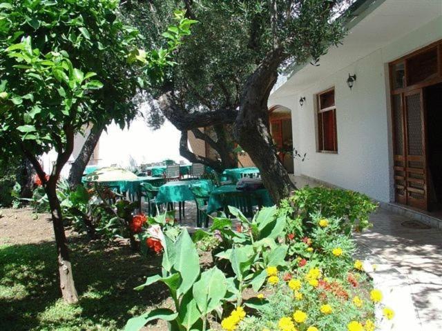 Pension Vice Gradac  Exterior photo