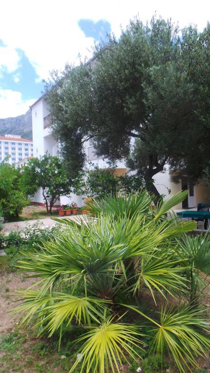 Pension Vice Gradac  Exterior photo